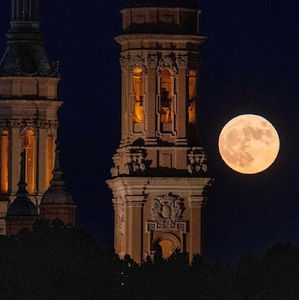 Meet your Posher, Patricia